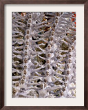 Performers Parade on a Float of Unidos Da Tijuca Samba School at Sambodrome in Rio De Janeiro Framed Photographic Print