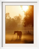 A Horse Stands in a Meadow in Early Morning Fog in Langenhagen Germany, Oct 17, 2006 Framed Photographic Print by Kai-uwe Knoth