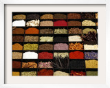 A Display of Spices Lends Color to a Section of Fancy Food Show, July 11, 2006, in New York City Framed Photographic Print by Seth Wenig