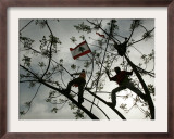 Lebanese Anti-American Protesters Framed Photographic Print