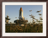 Space Shuttle Discovery at the Kennedy Space Center at Cape Canaveral, Florida, November 9, 2006 Framed Photographic Print by John Raoux