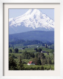 Mount Hood over Houses Scattered amongst Orchards and Firs, Pine Grove, Oregon Framed Photographic Print by Don Ryan
