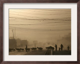 Afghan Herders Lead Their Livestodk Across a Road in Kabul, Afghanistan, Monday, Oct 9, 2006 Framed Photographic Print by Rodrigo Abd