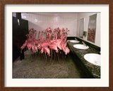Caribbean Flamingos from Miami's Metrozoo Crowd into the Men's Bathroom Framed Photographic Print