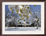 South Lawn of Thomas Jefferson's Home Monticello Framed Photographic Print by Steve Helber