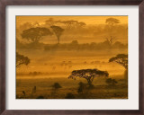 Herbivores at Sunrise, Amboseli Wildlife Reserve, Kenya Framed Photographic Print by Vadim Ghirda
