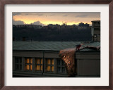 A Worker Cuts a Piece off a Roof That was Torn Away During a Storm in Prague, January 19, 2007 Framed Photographic Print by Petr David Josek