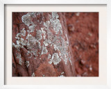 Rocky Pinnacle Posters by Nicole Katano