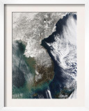 Snow in Korea Posters