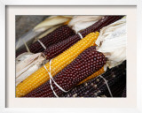 Autumn Harvest Posters by Nicole Katano