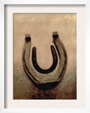 Lucky Horse Shoe on Dusty Rose Metallic II Poster