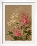 Red and Painted Trillium Posters
