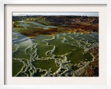 Dallol Geothermal Area, Danakil Depression, Ethiopia Prints