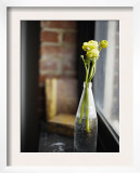 Buttercups at Window Poster