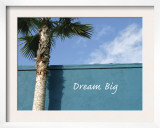 Dream Big Posters by Nicole Katano
