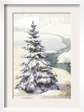 Single Pine Tree in Snow Prints