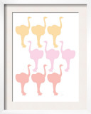 Multi Ostrich Family Prints by  Avalisa