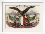 Mexican Flag and Eagle Prints
