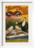 Barnum and Bailey, Poster, 1900 Prints