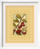 Cherries on Patterned Background Posters
