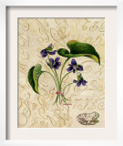 Vintage African Violets with Toad Prints