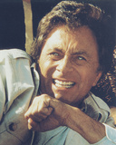 Bill Bixby - The Incredible Hul...
