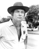 David Janssen - Moon of the Wolf Photo