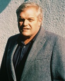 Brian Dennehy Photo