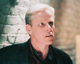 Gary Busey Photo