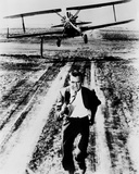 Cary Grant - North by Northwest Photo