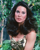 Cristina Raines - Flamingo Road Photographie