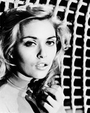 Alexandra Bastedo Photographie