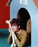 Barbara Feldon Fotografía