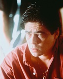 Benicio Del Toro Photographie
