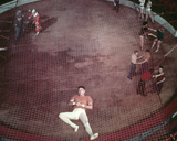 Burt Lancaster - Trapeze Photo