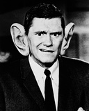 Dick York Photo