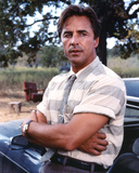 Don Johnson Photo