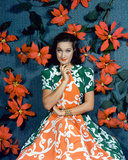 Dorothy Lamour Photo