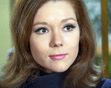 Diana Rigg - The Avengers Photo