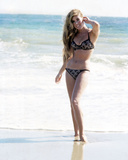 Edy Williams Photo
