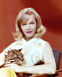 Anne Francis Fotografía