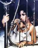 Elizabeth Taylor Photo