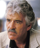 Dennis Farina Photo