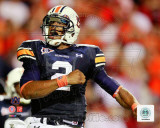 Cam Newton Auburn University Tigers 2010 Action Photo Cam Newton Auburn University Tigers 2010 Action Photo