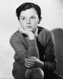 Freddie Bartholomew Photo