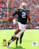 Cam Newton Auburn University Tigers 2010 Action Photo