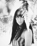 Cher Foto