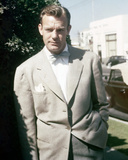 Dennis O'Keefe Photo