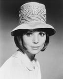 Elsa Martinelli Photo