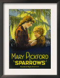 Sparrows, 1926 Print